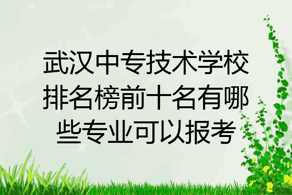 武汉中专技术学校排名榜前十名有哪些专业可以报考