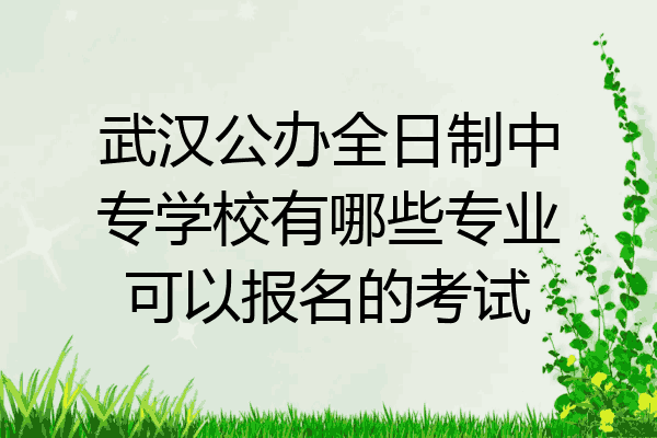 武汉公办全日制中专学校有哪些专业可以报名的考试