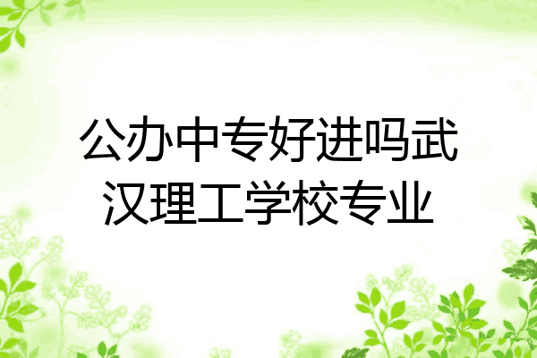 公办中专好进吗武汉理工学校专业