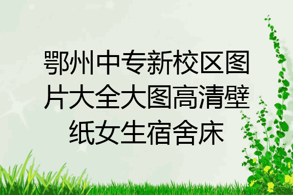 鄂州中专新校区图片大全大图高清壁纸女生宿舍床