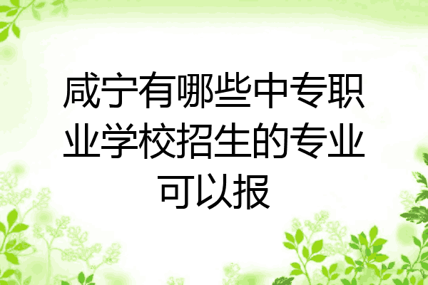 咸宁有哪些中专职业学校招生的专业可以报