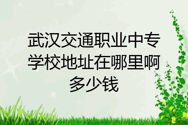 武汉交通职业中专学校地址在哪里啊多少钱
