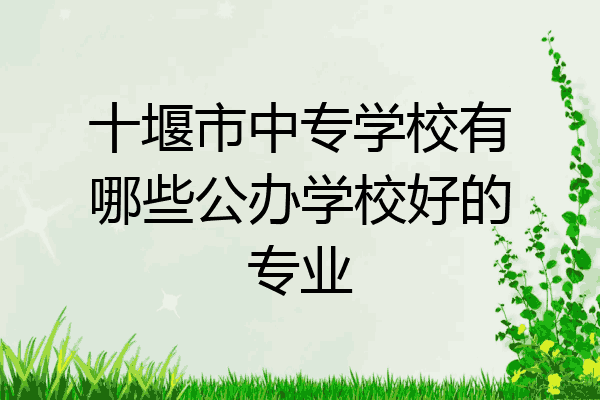 十堰市中专学校有哪些公办学校好的专业