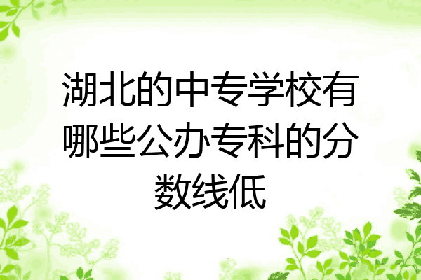 湖北的中专学校有哪些公办专科的分数线低