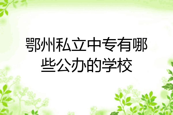 鄂州私立中专有哪些公办的学校