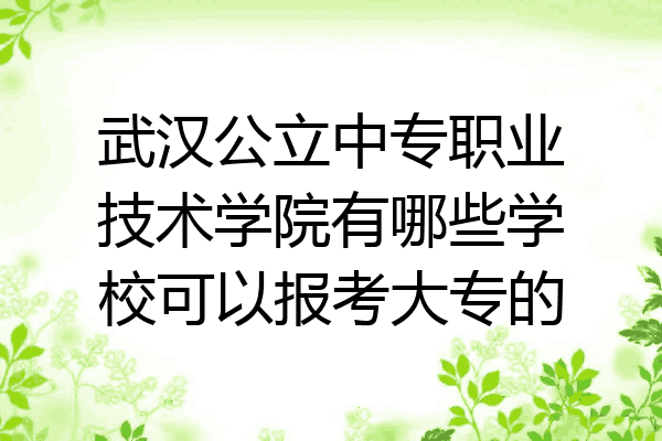 武汉公立中专职业技术学院有哪些学校可以报考大专的