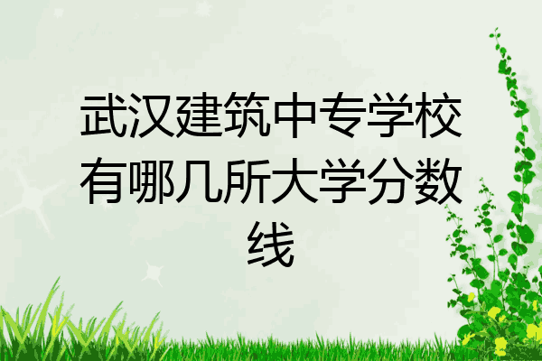 武汉建筑中专学校有哪几所大学分数线