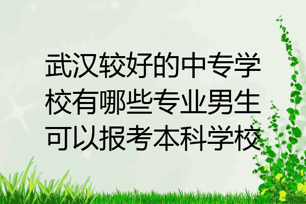 武汉较好的中专学校有哪些专业男生可以报考本科学校