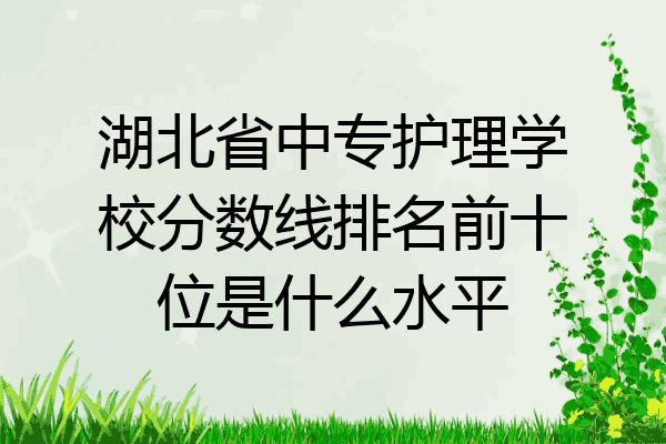 湖北省中专护理学校分数线排名前十位是什么水平