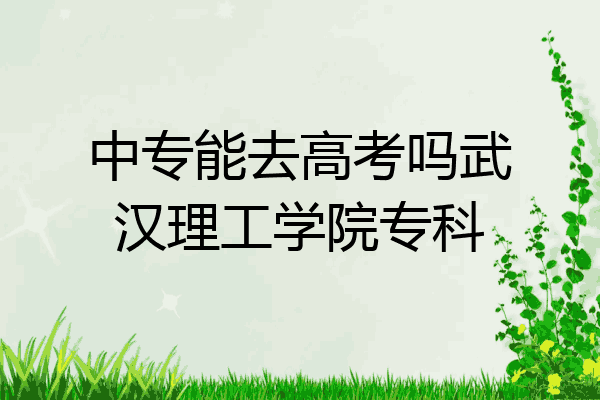 中专能去高考吗武汉理工学院专科