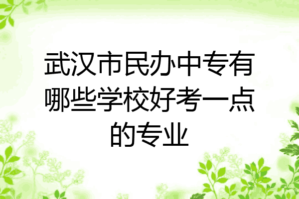 武汉市民办中专有哪些学校好考一点的专业