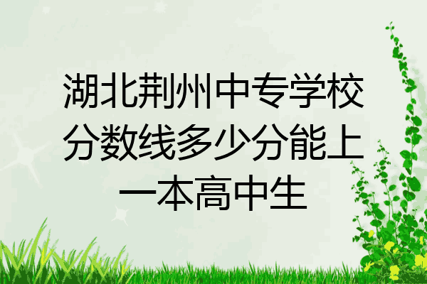 湖北荆州中专学校分数线多少分能上一本高中生