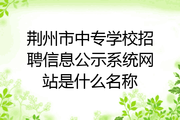 荆州市中专学校招聘信息公示系统网站是什么名称