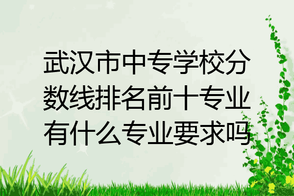 武汉市中专学校分数线排名前十专业有什么专业要求吗
