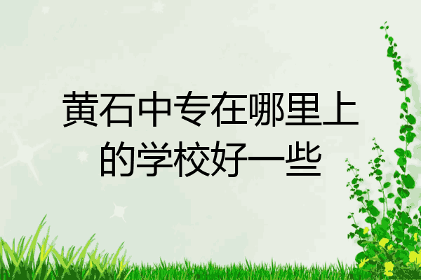 黄石中专在哪里上的学校好一些
