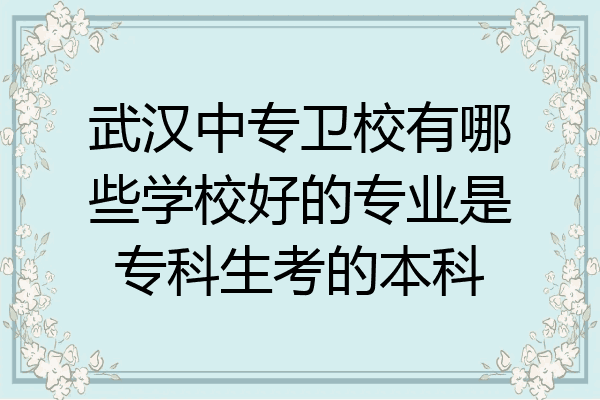 武汉中专卫校有哪些学校好的专业是专科生考的本科