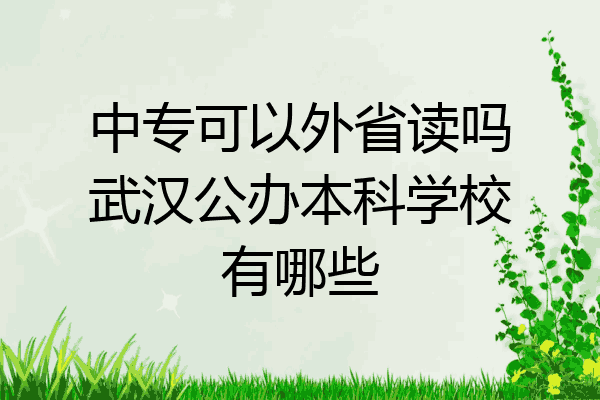 中专可以外省读吗武汉公办本科学校有哪些