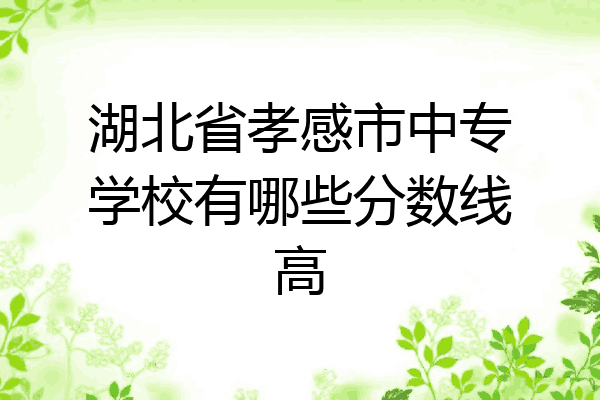 湖北省孝感市中专学校有哪些分数线高