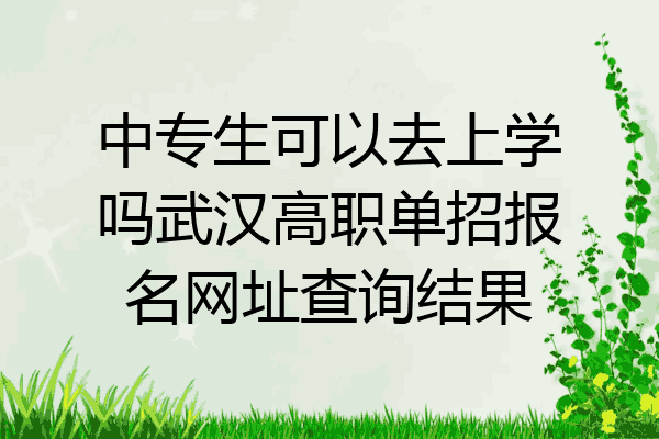 中专生可以去上学吗武汉高职单招报名网址查询结果