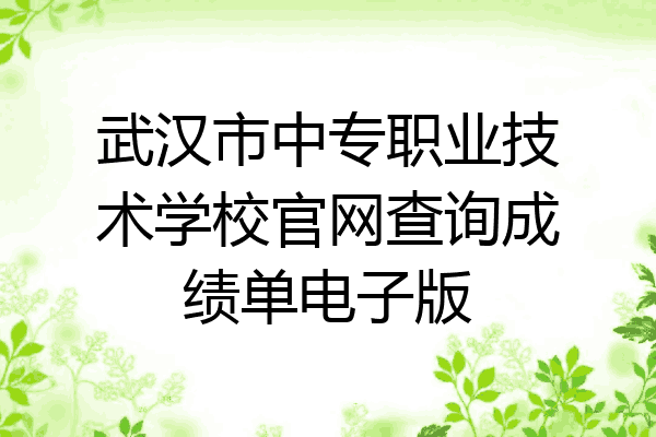 武汉市中专职业技术学校官网查询成绩单电子版