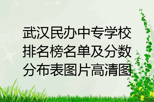 武汉民办中专学校排名榜名单及分数分布表图片高清图