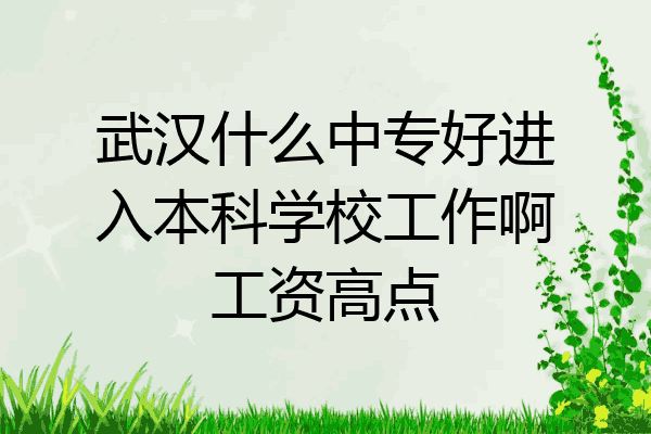 武汉什么中专好进入本科学校工作啊工资高点
