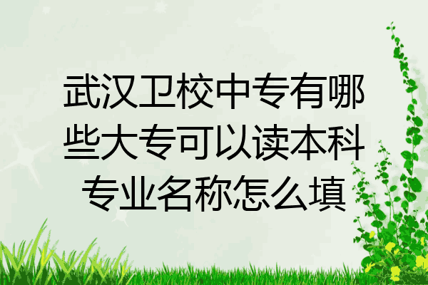 武汉卫校中专有哪些大专可以读本科专业名称怎么填