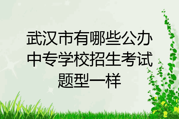 武汉市有哪些公办中专学校招生考试题型一样