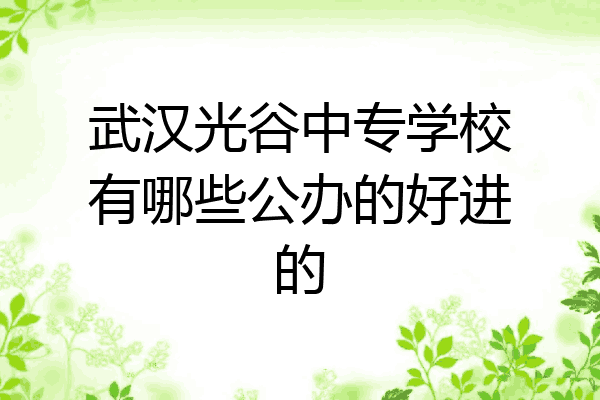 武汉光谷中专学校有哪些公办的好进的