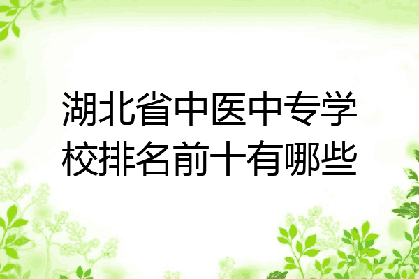 湖北省中医中专学校排名前十有哪些