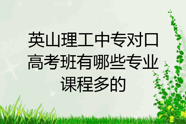 英山理工中专对口高考班有哪些专业课程多的