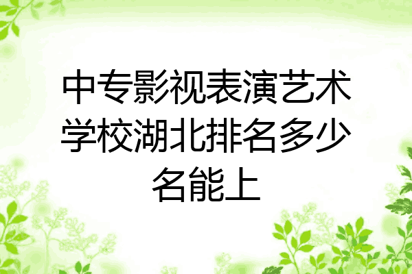 中专影视表演艺术学校湖北排名多少名能上