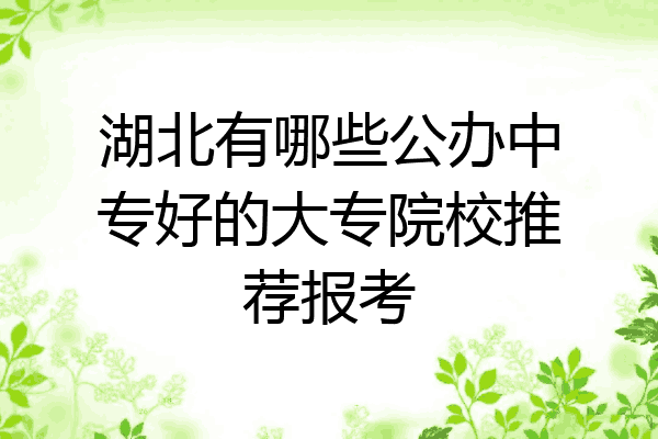 湖北有哪些公办中专好的大专院校推荐报考