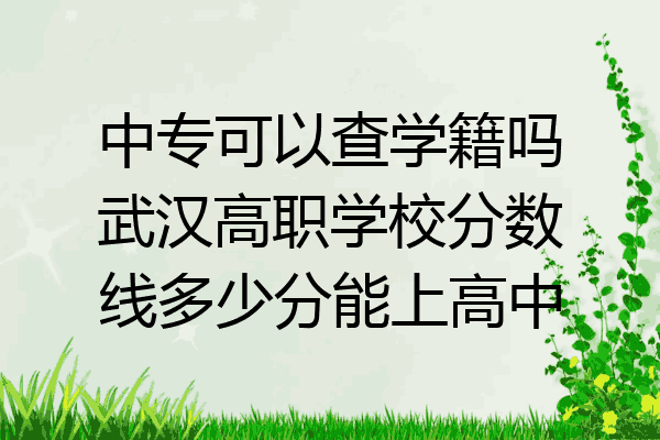 中专可以查学籍吗武汉高职学校分数线多少分能上高中