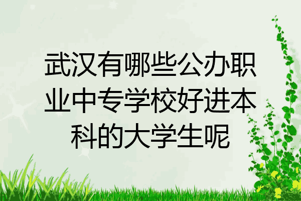 武汉有哪些公办职业中专学校好进本科的大学生呢