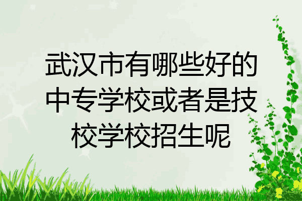 武汉市有哪些好的中专学校或者是技校学校招生呢