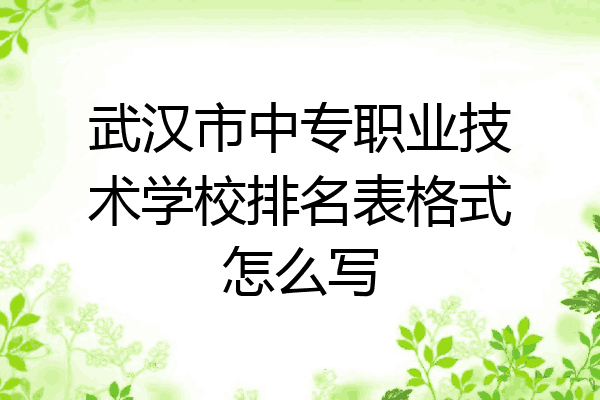 武汉市中专职业技术学校排名表格式怎么写