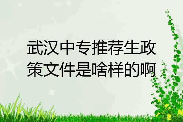 武汉中专推荐生政策文件是啥样的啊