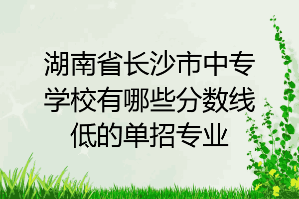 湖南省长沙市中专学校有哪些分数线低的单招专业