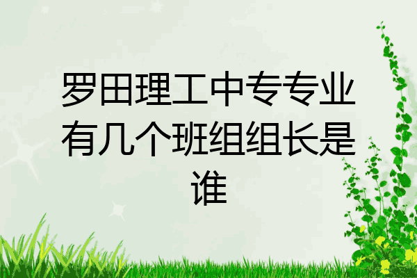 罗田理工中专专业有几个班组组长是谁