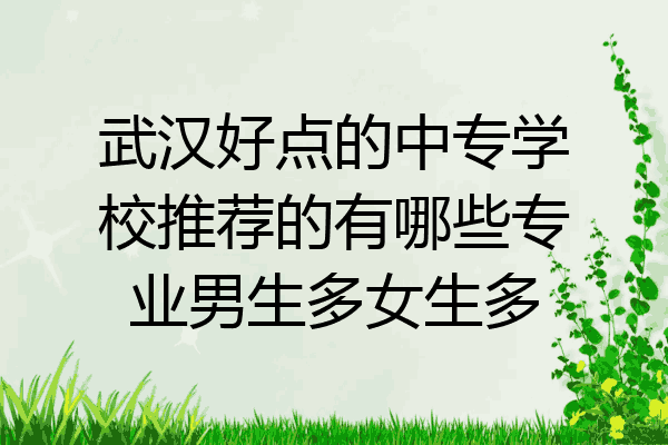 武汉好点的中专学校推荐的有哪些专业男生多女生多