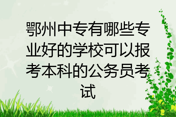 鄂州中专有哪些专业好的学校可以报考本科的公务员考试