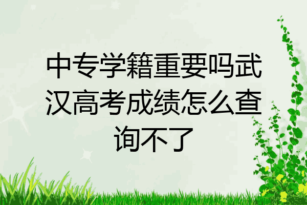 中专学籍重要吗武汉高考成绩怎么查询不了