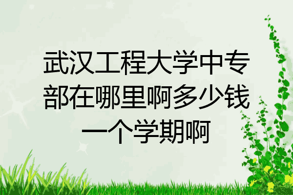 武汉工程大学中专部在哪里啊多少钱一个学期啊