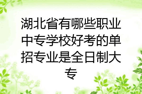 湖北省有哪些职业中专学校好考的单招专业是全日制大专