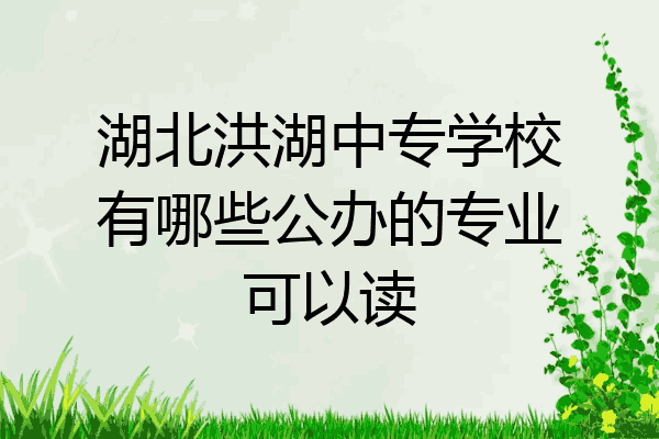 湖北洪湖中专学校有哪些公办的专业可以读