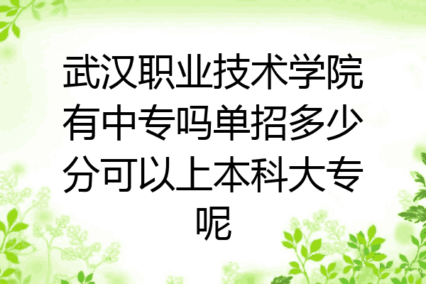 武汉职业技术学院有中专吗单招多少分可以上本科大专呢