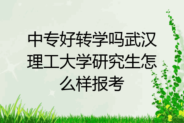中专好转学吗武汉理工大学研究生怎么样报考