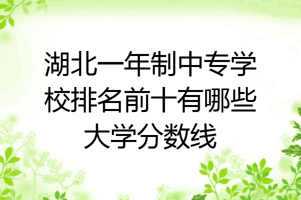 湖北一年制中专学校排名前十有哪些大学分数线