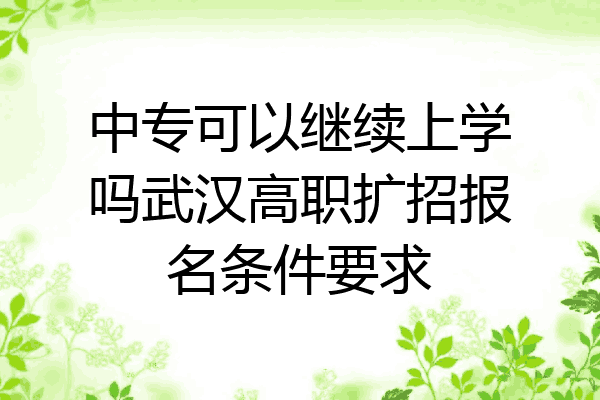 中专可以继续上学吗武汉高职扩招报名条件要求